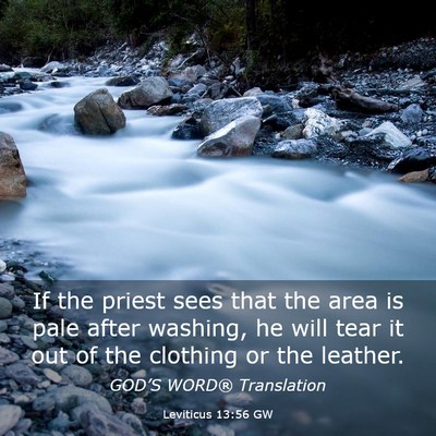 Picture 03 - Leviticus 13:56 GW - If the priest sees that the area is pale after - Bible Verse Picture