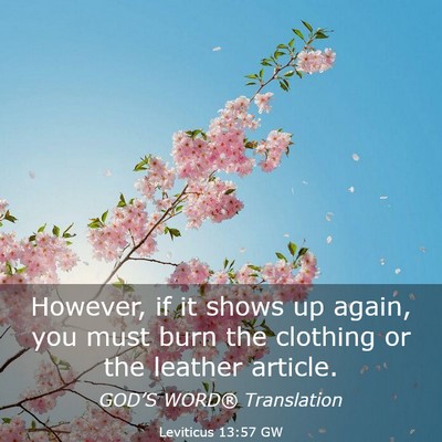 Picture 03 - Leviticus 13:57 GW - However, if it shows up again, you must burn the - Bible Verse Picture