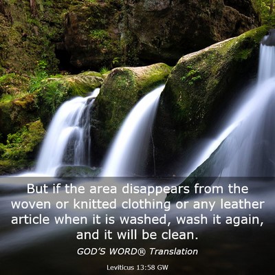 Picture 03 - Leviticus 13:58 GW - But if the area disappears from the woven or - Bible Verse Picture