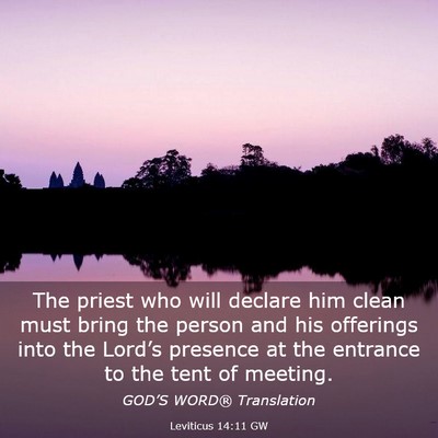 Picture 03 - Leviticus 14:11 GW - The priest who will declare him clean must bring - Bible Verse Picture