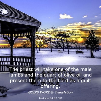 Picture 03 - Leviticus 14:12 GW - The priest will take one of the male lambs and - Bible Verse Picture