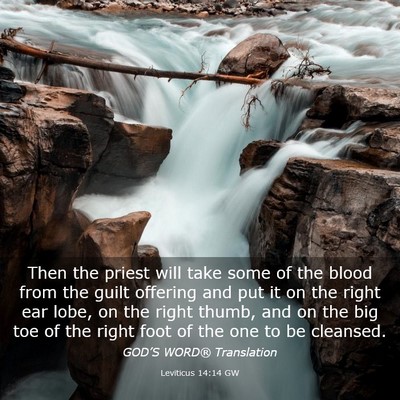 Picture 03 - Leviticus 14:14 GW - Then the priest will take some of the blood from - Bible Verse Picture