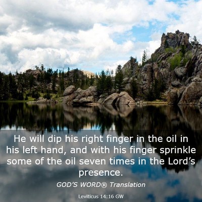 Picture 03 - Leviticus 14:16 GW - He will dip his right finger in the oil in his - Bible Verse Picture