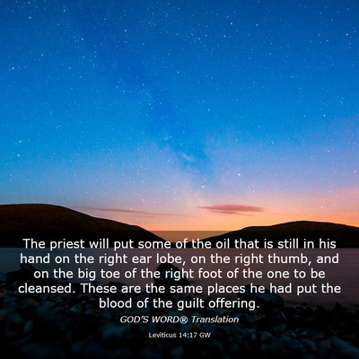 Picture 03 - Leviticus 14:17 GW - The priest will put some of the oil that is still - Bible Verse Picture