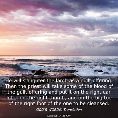 Picture 03 - Leviticus 14:25 GW - He will slaughter the lamb as a guilt offering. - Bible Verse Picture