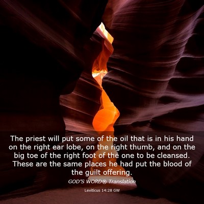 Picture 03 - Leviticus 14:28 GW - The priest will put some of the oil that is in - Bible Verse Picture