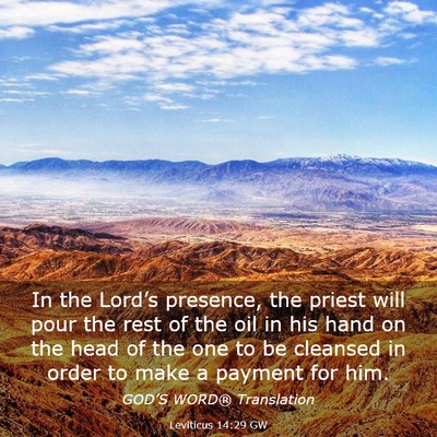 Picture 03 - Leviticus 14:29 GW - In the Lord’s presence, the priest will pour - Bible Verse Picture