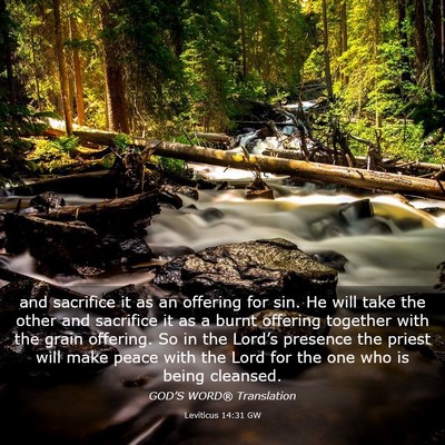 Picture 03 - Leviticus 14:31 GW - and sacrifice it as an offering for sin. He will - Bible Verse Picture