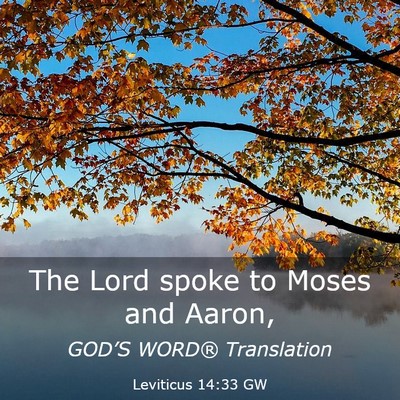 Picture 03 - Leviticus 14:33 GW - The Lord spoke to Moses and - Bible Verse Picture