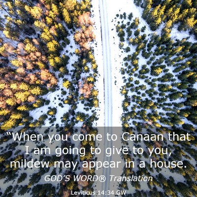 Picture 03 - Leviticus 14:34 GW - “When you come to Canaan that I am going to - Bible Verse Picture