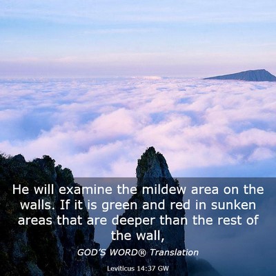 Picture 03 - Leviticus 14:37 GW - He will examine the mildew area on the walls. If - Bible Verse Picture