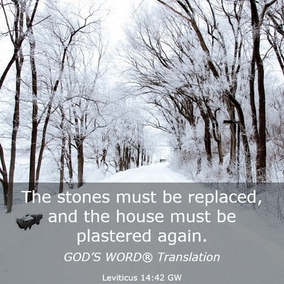 Picture 03 - Leviticus 14:42 GW - The stones must be replaced, and the house must - Bible Verse Picture