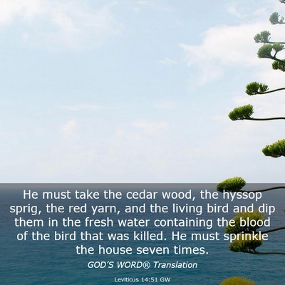 Picture 03 - Leviticus 14:51 GW - He must take the cedar wood, the hyssop sprig, - Bible Verse Picture