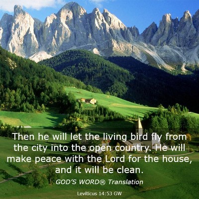 Picture 03 - Leviticus 14:53 GW - Then he will let the living bird fly from the - Bible Verse Picture