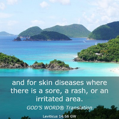 Picture 03 - Leviticus 14:56 GW - and for skin diseases where there is a sore, a - Bible Verse Picture