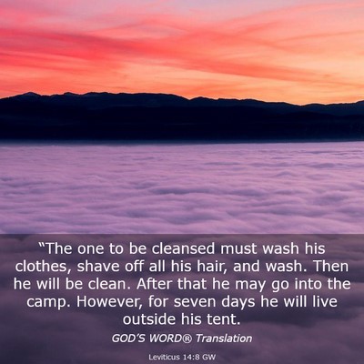 Picture 03 - Leviticus 14:8 GW - “The one to be cleansed must wash his clothes, - Bible Verse Picture
