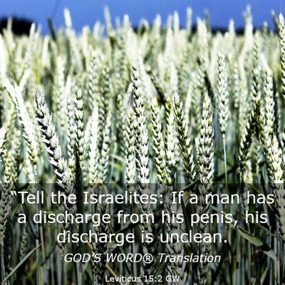 Picture 03 - Leviticus 15:2 GW - “Tell the Israelites: If a man has a discharge - Bible Verse Picture