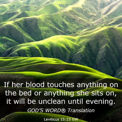 Picture 03 - Leviticus 15:23 GW - If her blood touches anything on the bed or - Bible Verse Picture