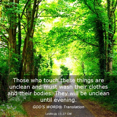 Picture 03 - Leviticus 15:27 GW - Those who touch these things are unclean and must - Bible Verse Picture