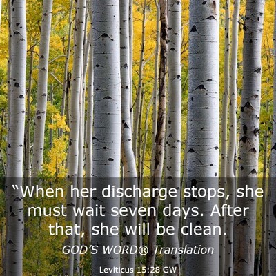 Picture 03 - Leviticus 15:28 GW - “When her discharge stops, she must wait seven - Bible Verse Picture