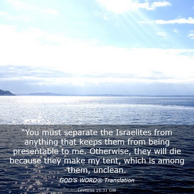 Picture 03 - Leviticus 15:31 GW - “You must separate the Israelites from anything - Bible Verse Picture
