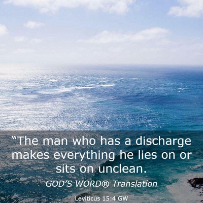 Picture 03 - Leviticus 15:4 GW - “The man who has a discharge makes everything - Bible Verse Picture