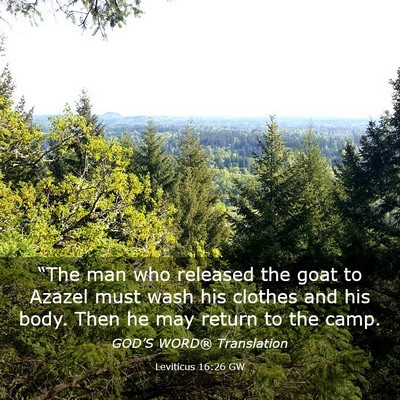 Picture 03 - Leviticus 16:26 GW - “The man who released the goat to Azazel must - Bible Verse Picture