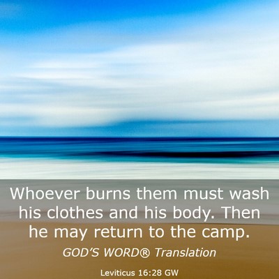 Picture 03 - Leviticus 16:28 GW - Whoever burns them must wash his clothes and his - Bible Verse Picture