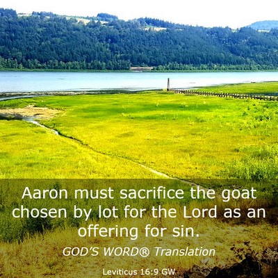 Picture 03 - Leviticus 16:9 GW - Aaron must sacrifice the goat chosen by lot for - Bible Verse Picture