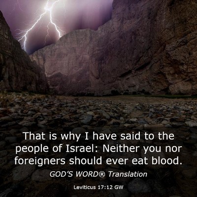 Picture 03 - Leviticus 17:12 GW - That is why I have said to the people of Israel: - Bible Verse Picture