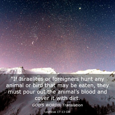 Picture 03 - Leviticus 17:13 GW - “If Israelites or foreigners hunt any animal or - Bible Verse Picture