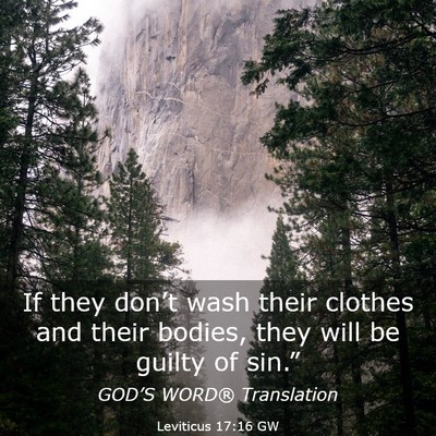 Picture 03 - Leviticus 17:16 GW - If they don’t wash their clothes and their - Bible Verse Picture