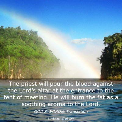 Picture 03 - Leviticus 17:6 GW - The priest will pour the blood against the - Bible Verse Picture