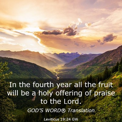 Picture 03 - Leviticus 19:24 GW - In the fourth year all the fruit will be a holy - Bible Verse Picture