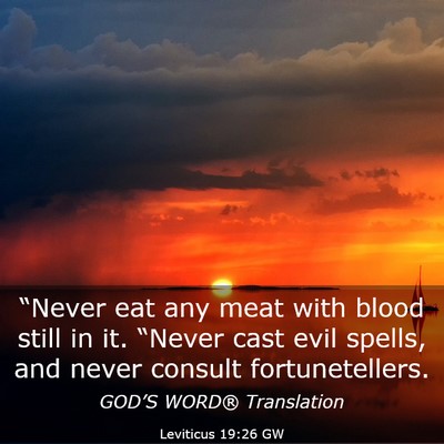 Picture 03 - Leviticus 19:26 GW - “Never eat any meat with blood still in it. - Bible Verse Picture