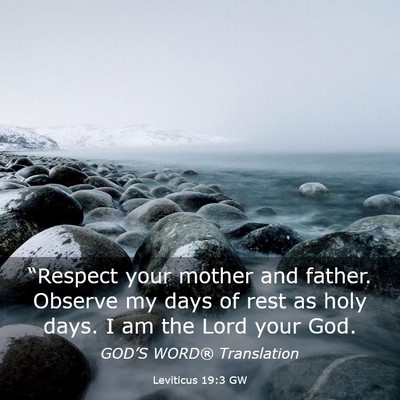 Picture 03 - Leviticus 19:3 GW - “Respect your mother and father. Observe my - Bible Verse Picture