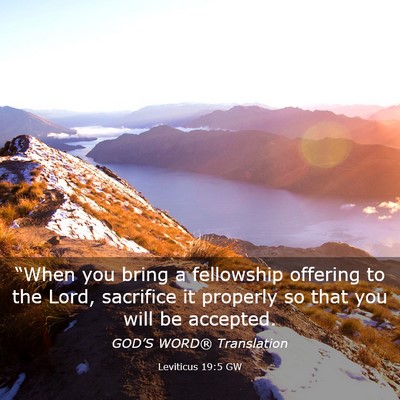 Picture 03 - Leviticus 19:5 GW - “When you bring a fellowship offering to the - Bible Verse Picture