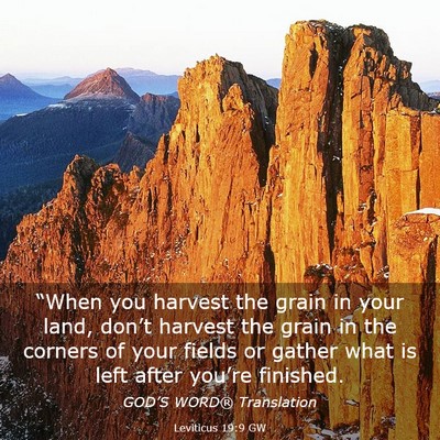 Picture 03 - Leviticus 19:9 GW - “When you harvest the grain in your land, - Bible Verse Picture