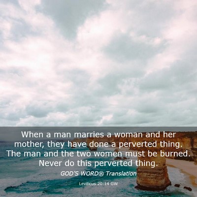 Picture 03 - Leviticus 20:14 GW - When a man marries a woman and her mother, they - Bible Verse Picture
