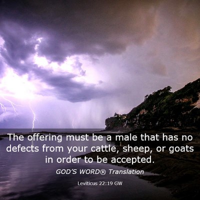 Picture 03 - Leviticus 22:19 GW - The offering must be a male that has no defects - Bible Verse Picture