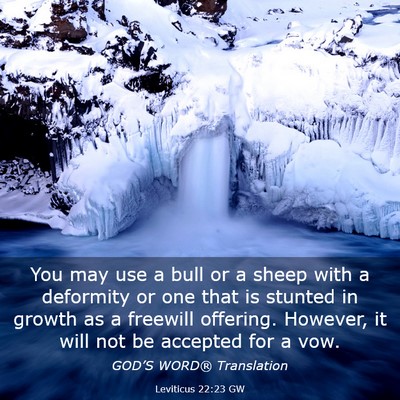 Picture 03 - Leviticus 22:23 GW - You may use a bull or a sheep with a deformity or - Bible Verse Picture