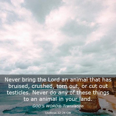 Picture 03 - Leviticus 22:24 GW - Never bring the Lord an animal that has bruised, - Bible Verse Picture
