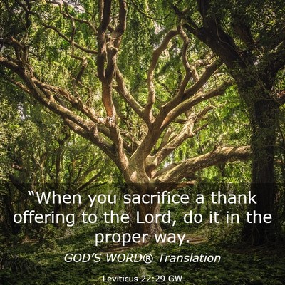 Picture 03 - Leviticus 22:29 GW - “When you sacrifice a thank offering to the - Bible Verse Picture