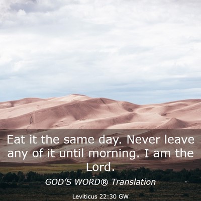 Picture 03 - Leviticus 22:30 GW - Eat it the same day. Never leave any of it until - Bible Verse Picture