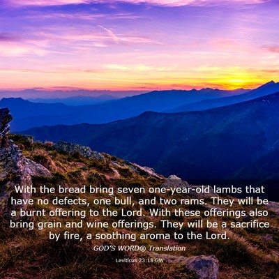 Picture 03 - Leviticus 23:18 GW - With the bread bring seven one-year-old lambs - Bible Verse Picture