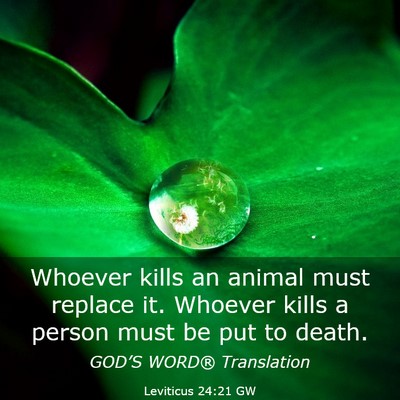 Picture 03 - Leviticus 24:21 GW - Whoever kills an animal must replace it. Whoever - Bible Verse Picture
