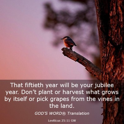 Picture 03 - Leviticus 25:11 GW - That fiftieth year will be your jubilee year. - Bible Verse Picture