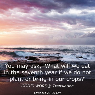 Picture 03 - Leviticus 25:20 GW - You may ask, ‘What will we eat in the seventh - Bible Verse Picture