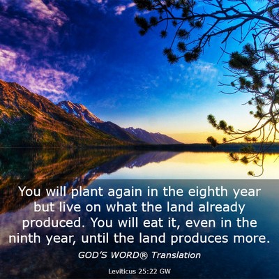 Picture 03 - Leviticus 25:22 GW - You will plant again in the eighth year but live - Bible Verse Picture