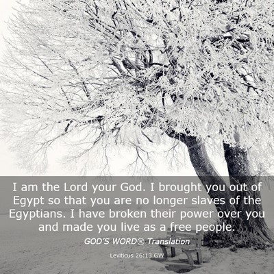 Picture 03 - Leviticus 26:13 GW - I am the Lord your God. I brought you out of - Bible Verse Picture